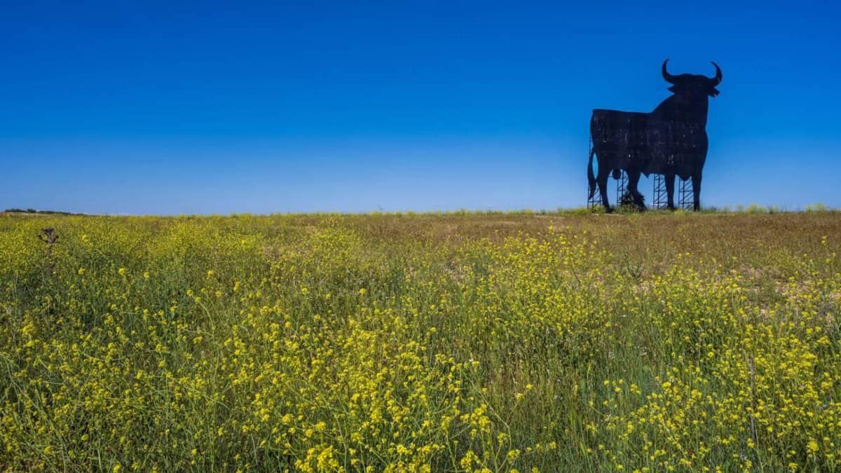 EL TORO DE OSBORNE, UN ÍCONO DE LAS CARRETERAS