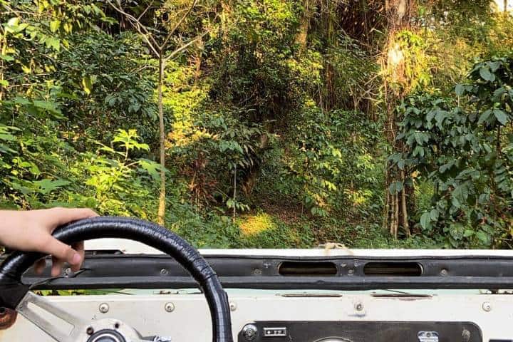 EXTRA. Auto adentrándose en la selva. Foto - Argovia Ecolodge (Facebook)