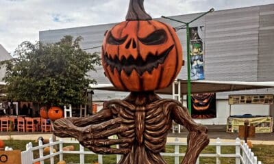 FESTIVAL DE LAS CALABAZAS EN PARQUE BICENTENARIO GUANAJUATO