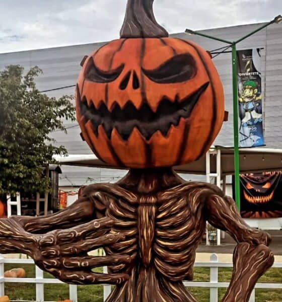 FESTIVAL DE LAS CALABAZAS EN PARQUE BICENTENARIO GUANAJUATO