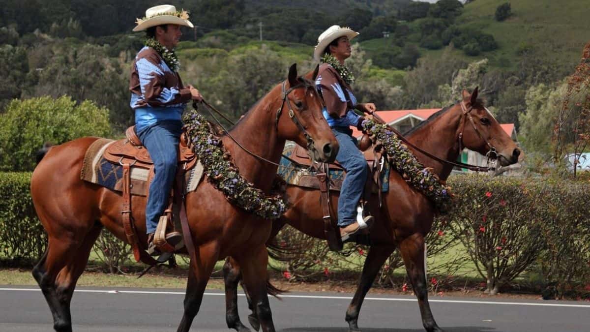 PANIOLOS