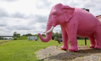 PINK ELEPHANT ANTIQUE MALL EN LA RUTA 66