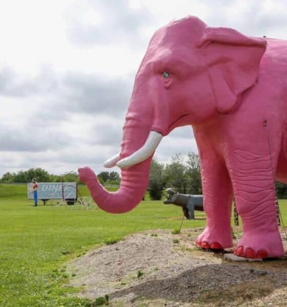 PINK ELEPHANT ANTIQUE MALL EN LA RUTA 66