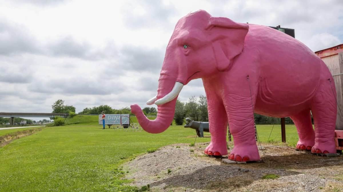 PINK ELEPHANT ANTIQUE MALL EN LA RUTA 66