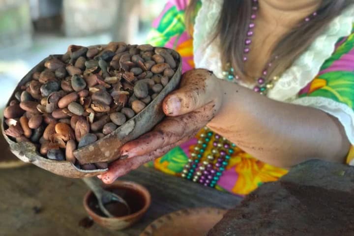 1. Granos de cacao tostados. Foto - rehiletes.com
