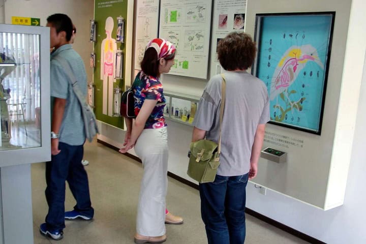 10. Visitantes en el Museo Parasitológico de Meguro. Foto - TripSavvy