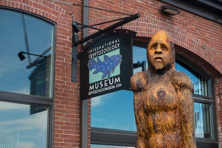 10. Entrada del Museo Internacional de Criptozoología. Foto - Alamy
