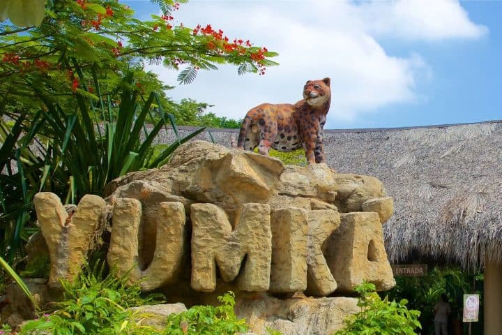 2. Entrada a reserva natural Yumka en Tabasco. Foto - rehiletes.com
