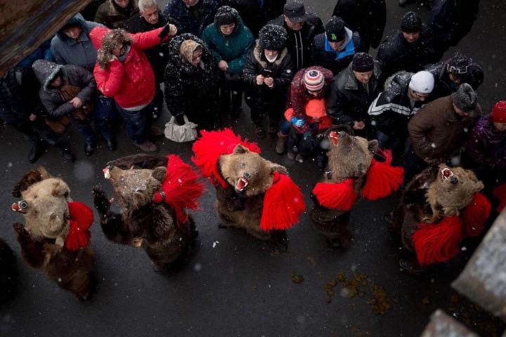 2. Festival del Baile del Oso en Rumania. Foto - Alamy