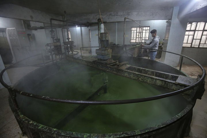 2. Elaboración del jabón de Alepo. Foto - Getty Images