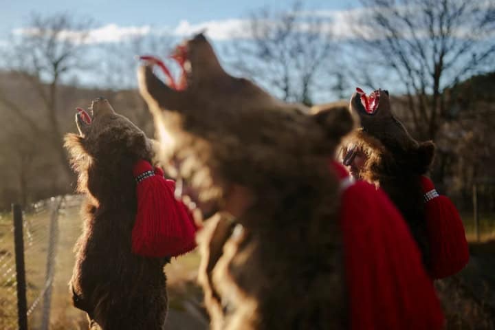 3. Festival del Baile del Oso en Rumania. Foto - beta.rs