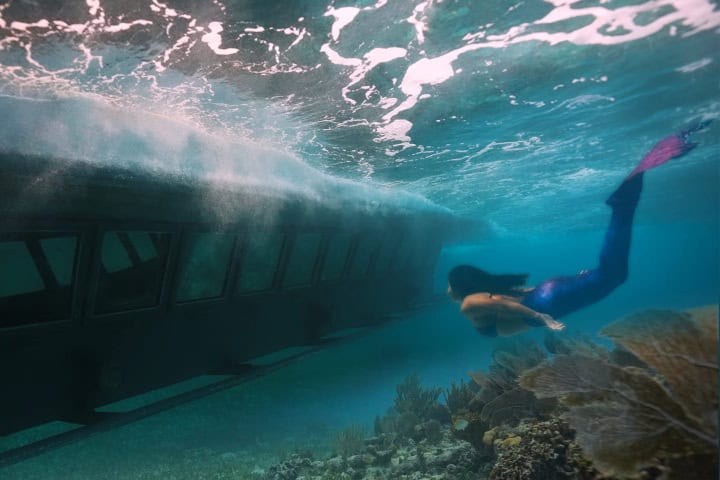 3. Sirena en el Subsee. Foto - Aquaworld