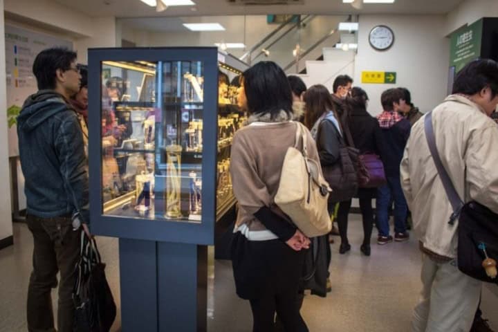 3. Visitantes en el Museo Parasitológico de Meguro. Foto - Time Travel Turtle