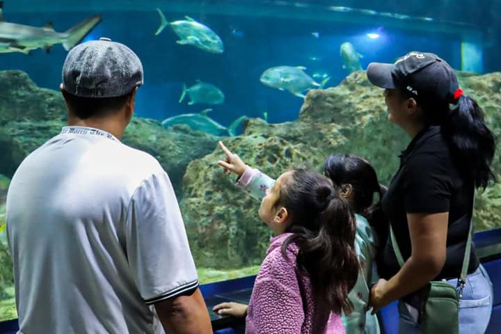 4. Visitante en el Acuario Michin Puebla. Foto - Acuario Michin Puebla (Facebook)