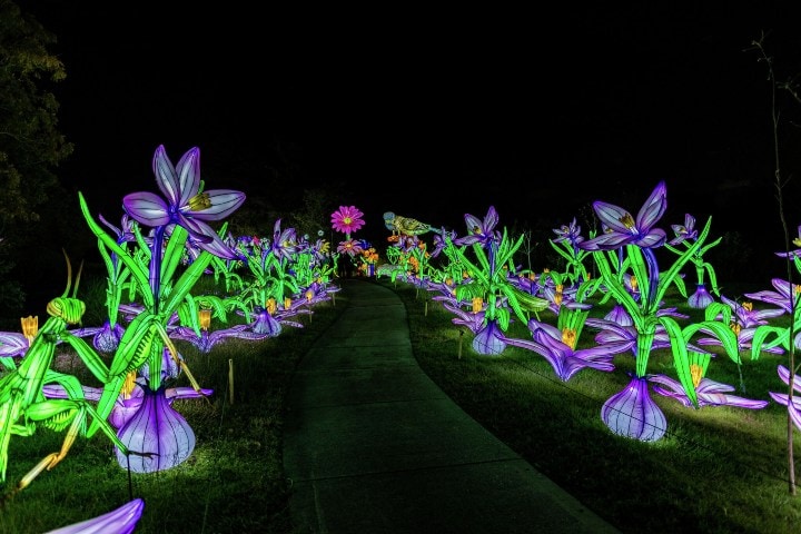4. Illuminate en el Jardín Botánico de San Antonio. Foto - MySA