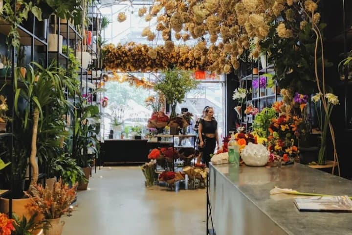 5. Ariston Flowers & Café. Foto - Kamryn Grimes (Google Maps)