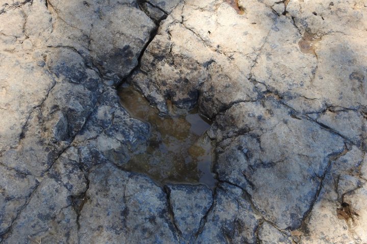 5. Huella en Playa de la Griega. Foto - Cluster Turismo Asturias