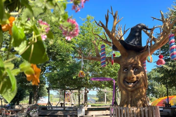 6. Árbol en Hans & Gretel Pancake House. Foto - Hans & Grietje Pannenkoekenhuis en Speelpark (Facebook)