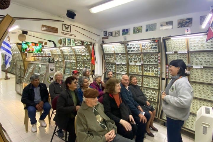 6. Explicación en el Museo Mariposas del Mundo. Foto - @terceraedadsanmiguel (Instagram)