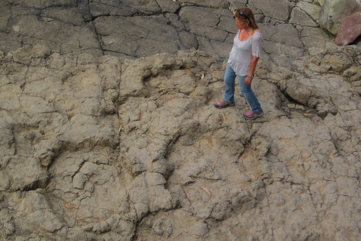 6. Viajera en las huellas de saurópodo en Playa de la Griega. Foto - Banco de Imágenes Geológicas (Flickr)