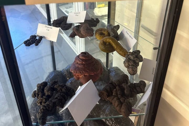 7. Réplicas de excrementos de críptidos. Foto - @mike.is.eaton (Instagram)