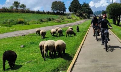 CICLOVÍA FERROCARRIL MÉXICO CUERNAVACA