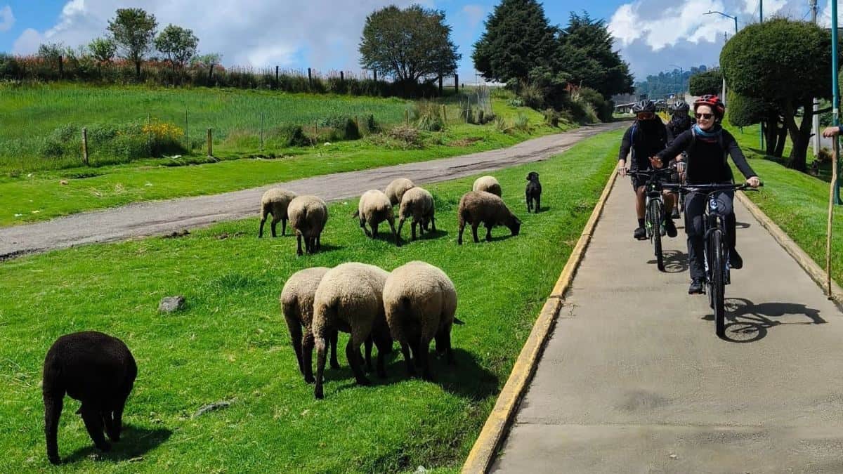 CICLOVÍA FERROCARRIL MÉXICO CUERNAVACA
