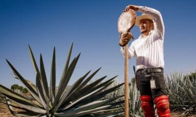 EXPERIENCIAS EN EL JARDÍN BOTÁNICO DE CASA SAUZA