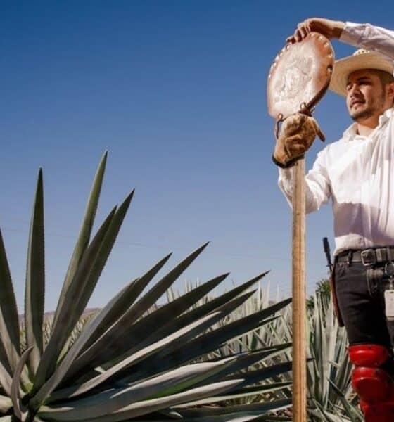 EXPERIENCIAS EN EL JARDÍN BOTÁNICO DE CASA SAUZA