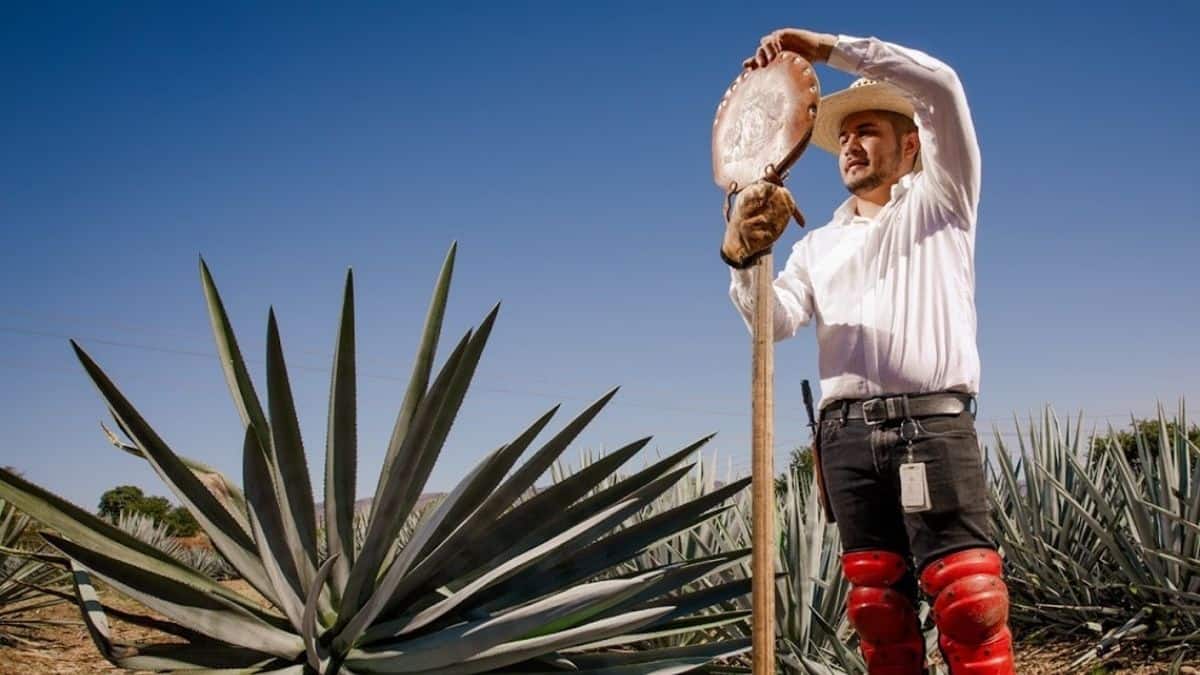 EXPERIENCIAS EN EL JARDÍN BOTÁNICO DE CASA SAUZA