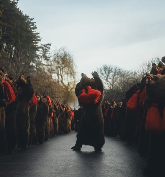 FESTIVAL DEL BAILE DE OSO EN RUMANIA
