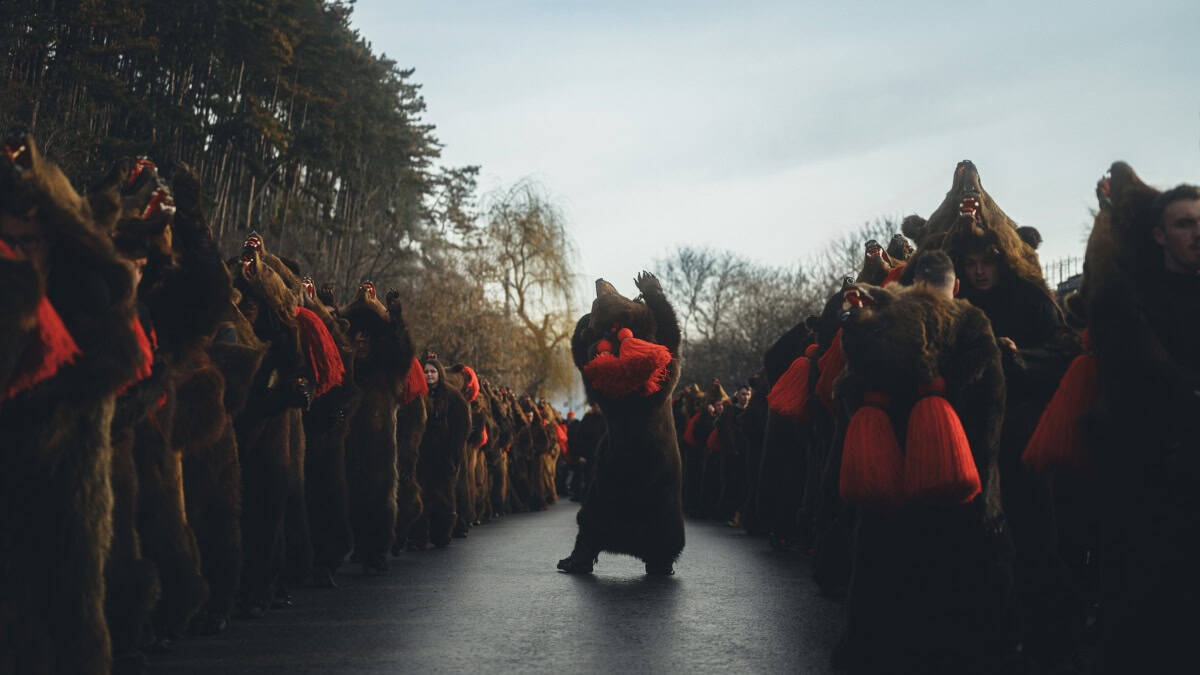 FESTIVAL DEL BAILE DE OSO EN RUMANIA