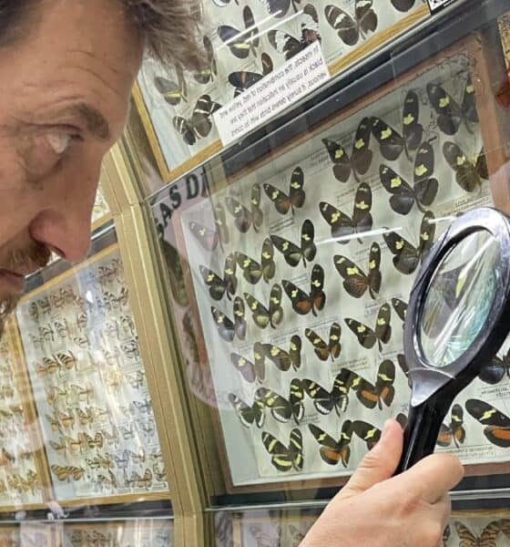 MUSEO MARIPOSAS DEL MUNDO EN ARGENTINA