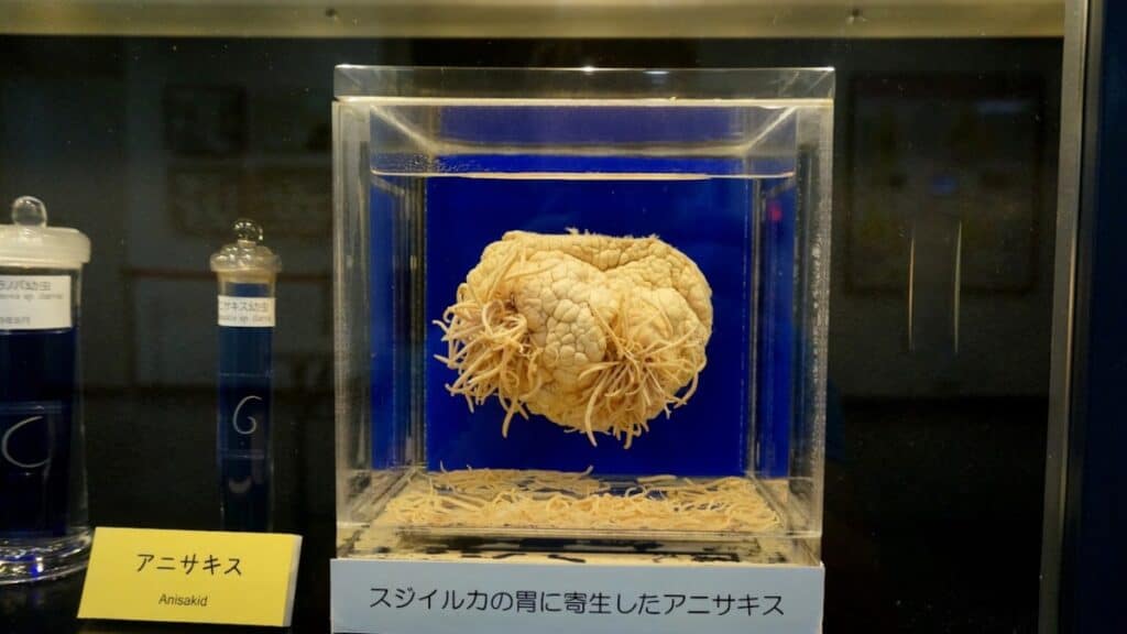 MUSEO PARASITOLÓGICO DE MEGURO