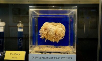 MUSEO PARASITOLÓGICO DE MEGURO