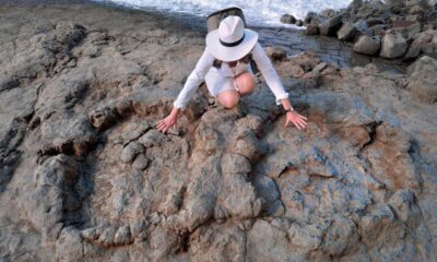 PLAYA DE LA GRIEGA EN ESPAÑA_ HUELLAS DE DINOSAURIOS