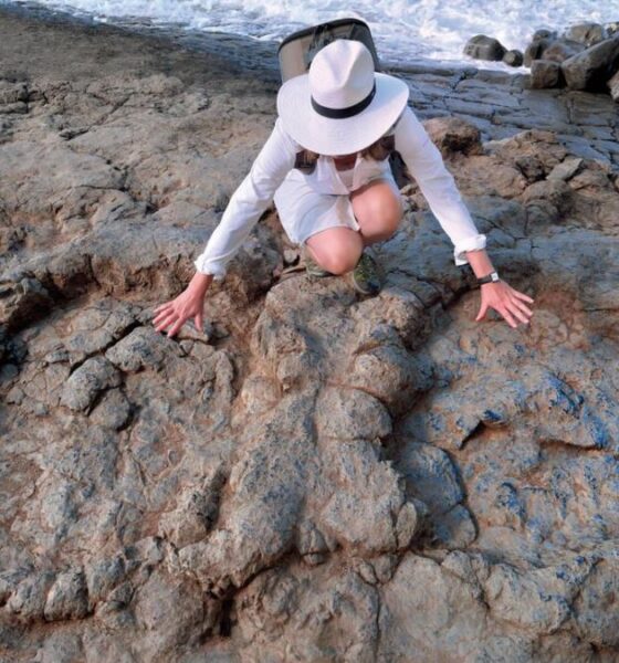 PLAYA DE LA GRIEGA EN ESPAÑA_ HUELLAS DE DINOSAURIOS