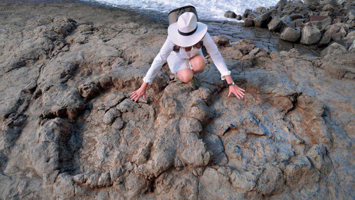 PLAYA DE LA GRIEGA EN ESPAÑA_ HUELLAS DE DINOSAURIOS
