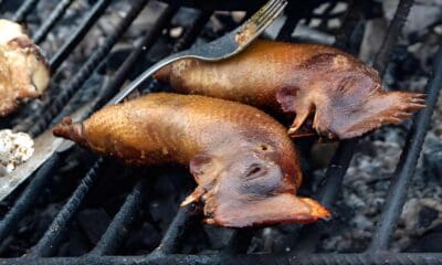 SUSHI BOYACENSE EN COLOMBIA