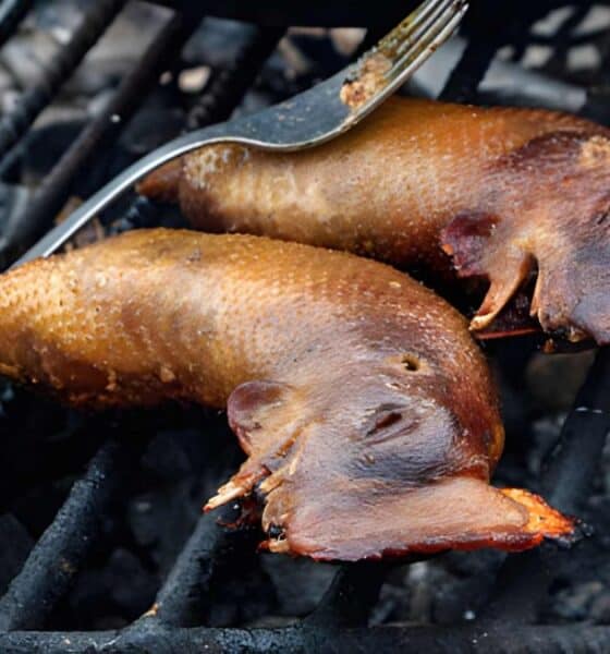 SUSHI BOYACENSE EN COLOMBIA