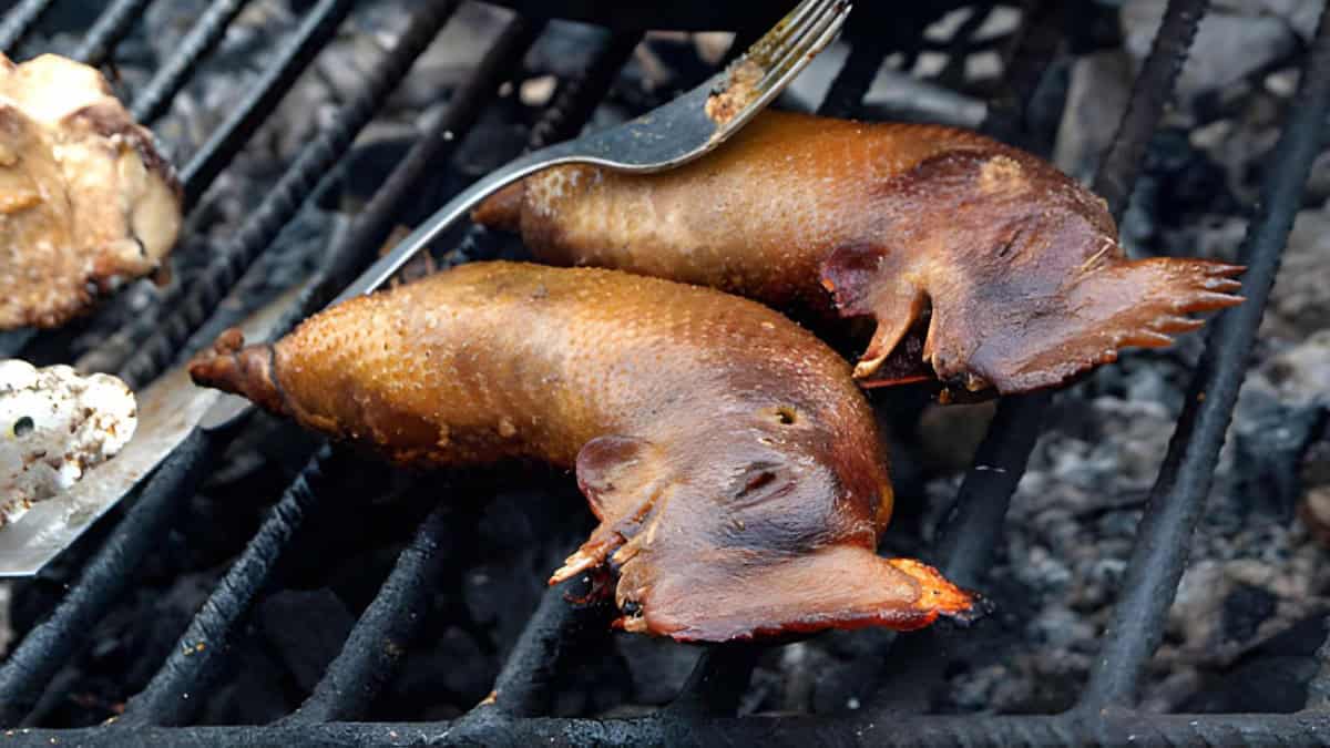 SUSHI BOYACENSE EN COLOMBIA