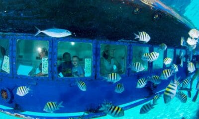 TURIBUS + SUBSEE EN CANCÚN