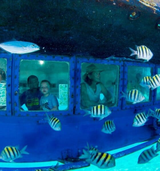 TURIBUS + SUBSEE EN CANCÚN