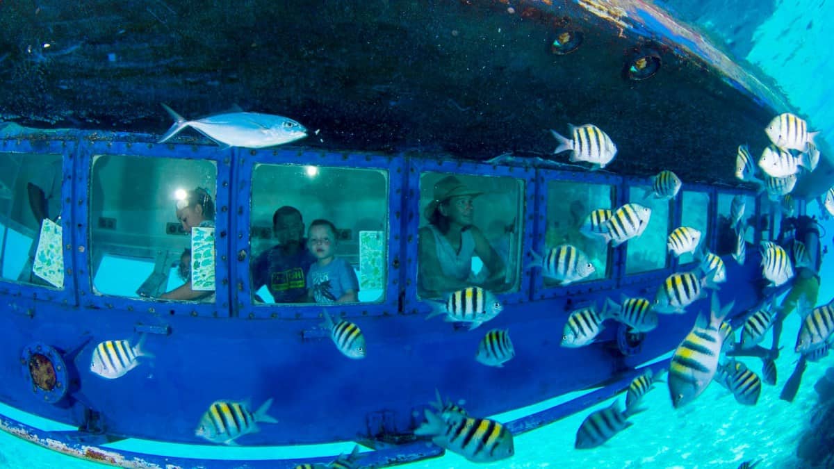 TURIBUS + SUBSEE EN CANCÚN