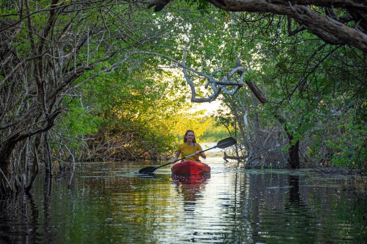 12. Kayak en Yucatán. Foto - BR Yucatán Bienes Raíces
