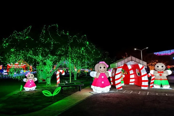 2. Esculturas de luz en el Parque Guanajuato Bicentenario. Foto - @nancy.chz (Instagram)