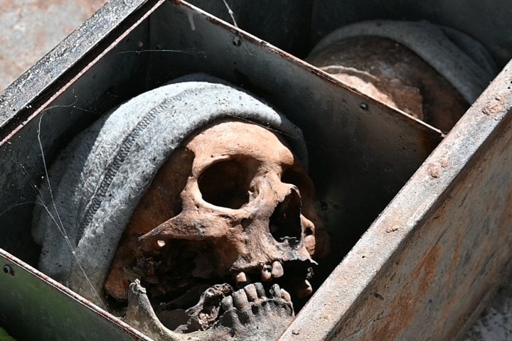 2. Ñañitas en La Paz, Bolivia. Foto - Entidad Descentralizada Municipal de Cementerios de La Paz (Facebook)