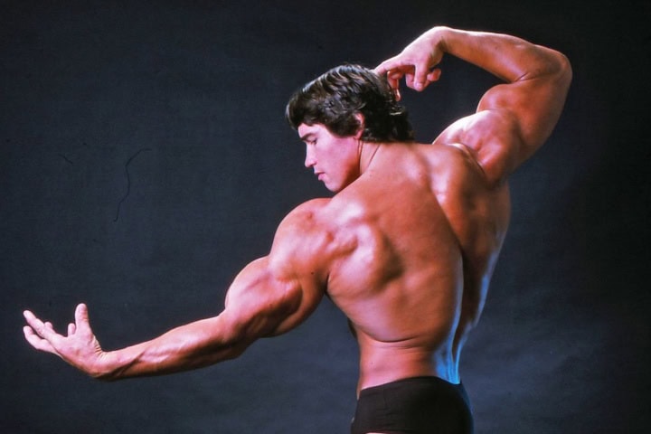2. Arnold Schwarzenegger. Foto - u/SoldierJustice (Reddit)