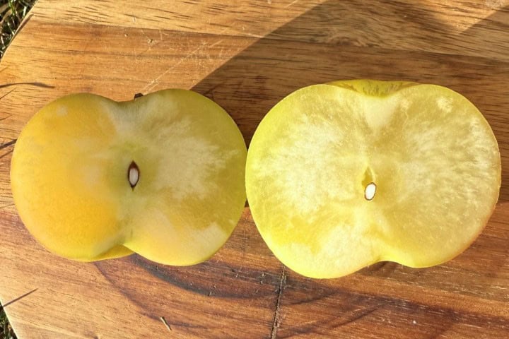 2. Interior de la manzana de hielo. Foto - ComeFruta