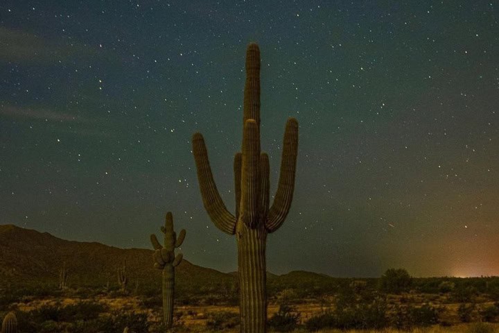2. Noche estrellada en el desierto de Arizona. Foto - @livinginarizonanow (Instagram)